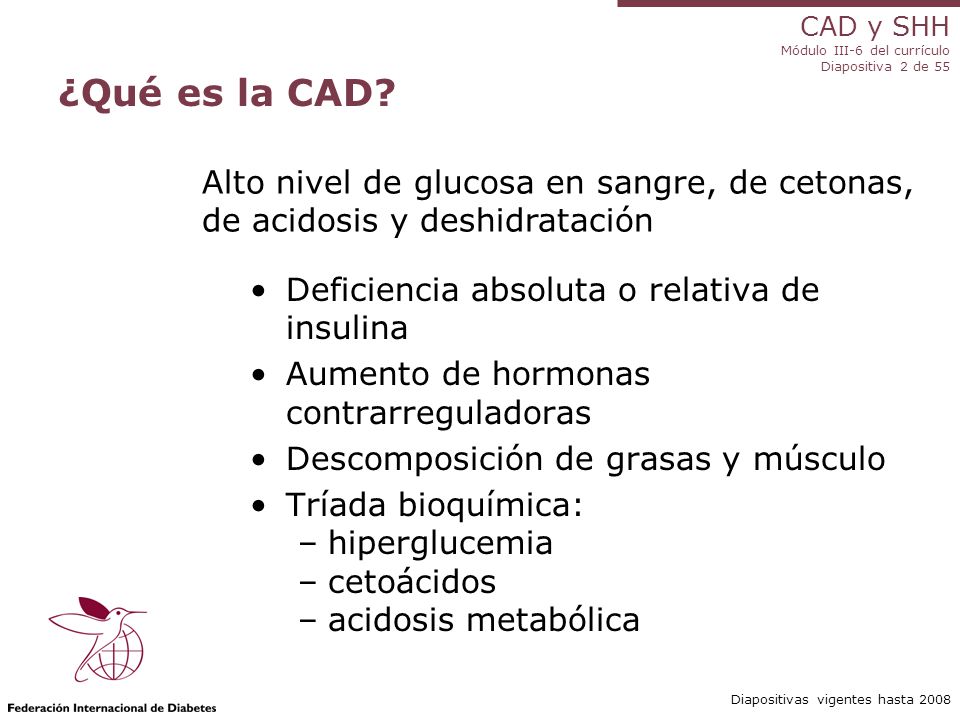 cetonas en orina significa diabetes
